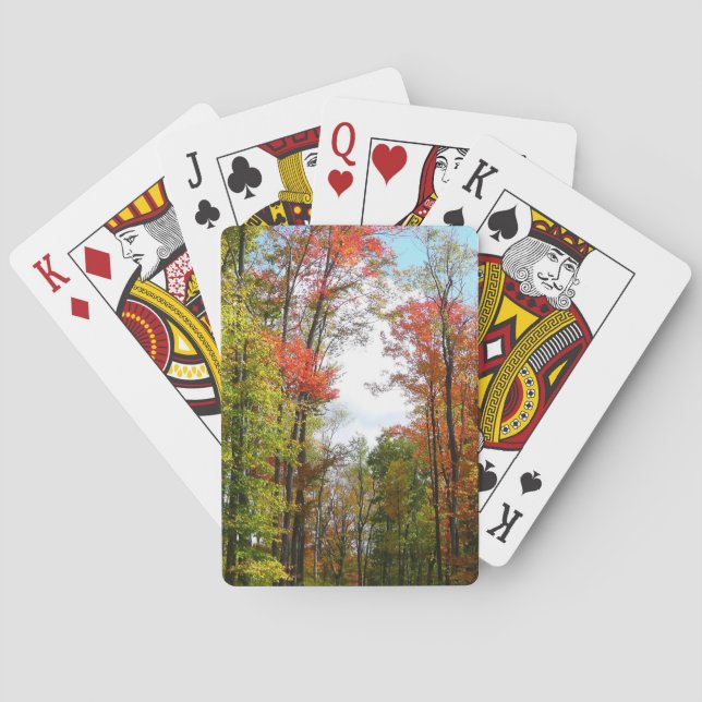Jeu De Cartes Automnes Arbres et Ciel bleu Automne Photographie  (dos)