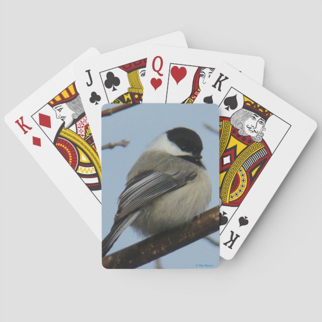 Jeu De Cartes B21 Mésange à tête noire (dos)