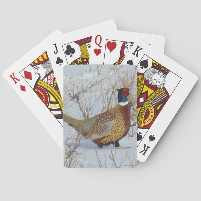 Jeu De Cartes B22 Pheasant à cou circulaire en neige (dos)