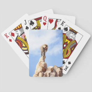 Jeu De Cartes Babouin singe au sommet d'une montagne
