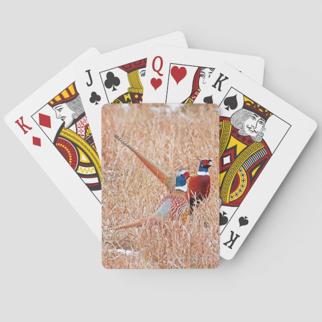 Jeu De Cartes Bague Cou Pheasant Vélos Jouer Cartes (dos)
