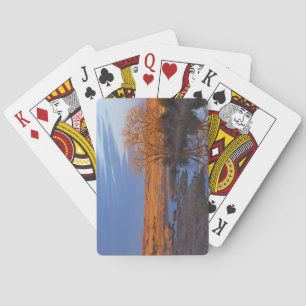 Jeu De Cartes Baigné dans la lumière du coucher de soleil, la ri