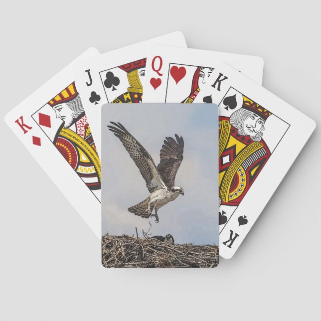 Jeu De Cartes Balbuzard dans un nid (dos)