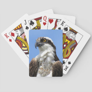 Jeu De Cartes Balbuzard pêcheur (4964) Jouant aux cartes