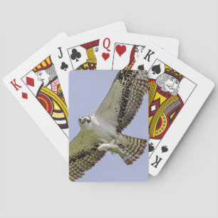 Jeu De Cartes Balbuzard pêcheur avec poisson