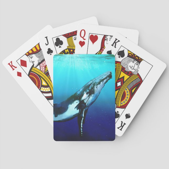 Jeu De Cartes Baleine à bosse (dos)