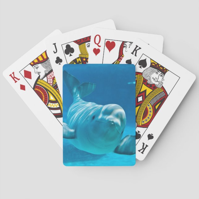 Jeu De Cartes Baleine de Beluga (dos)