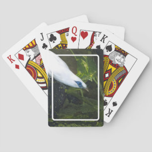 Jeu De Cartes Bali Mina
