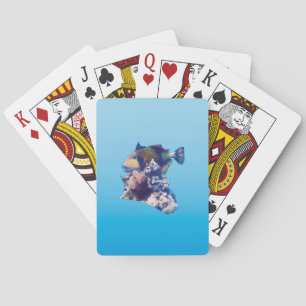 Jeu De Cartes Baliste - Vue de culture biologique sur un récif c