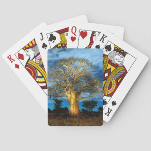 Jeu De Cartes Baobab (Adansonia) éclairé par la lune