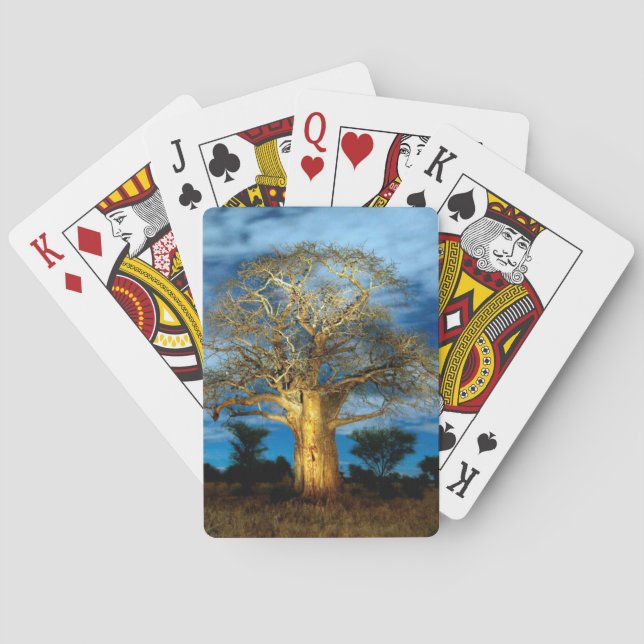 Jeu De Cartes Baobab (Adansonia) éclairé par la lune (dos)