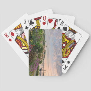 Jeu De Cartes Bar Harbour, Maine