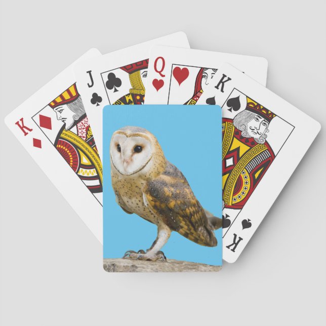 Jeu De Cartes Barn Owl (dos)