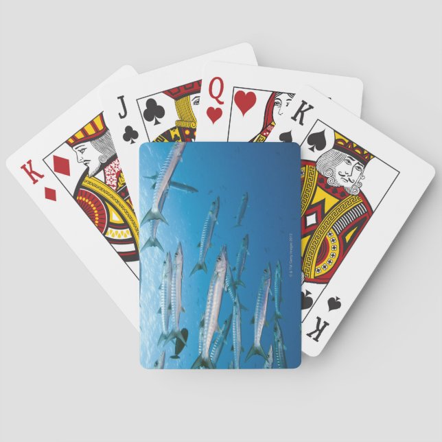 Jeu De Cartes Barracuda à nageoire noire (dos)