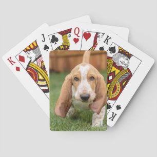 Jeu De Cartes Basset Hound chiot marchant