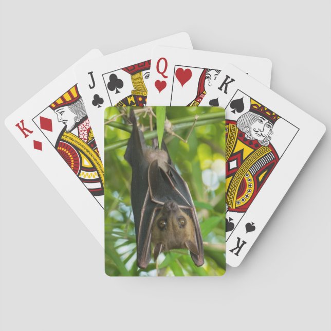 Jeu De Cartes Bat (dos)