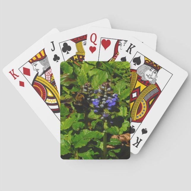 Jeu De Cartes Baume d'abeille pourpre et bourdon (dos)
