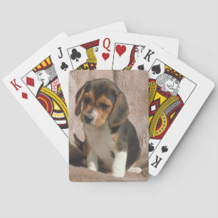 Jeu De Cartes Beagle Chien Chien Chien Jouant Cartes