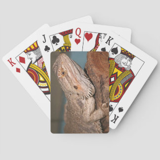 Jeu De Cartes Bearded Dragon