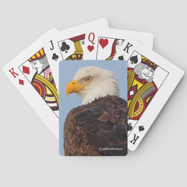 Jeu De Cartes Beau aigle à tête blanche dans un arbre (dos)