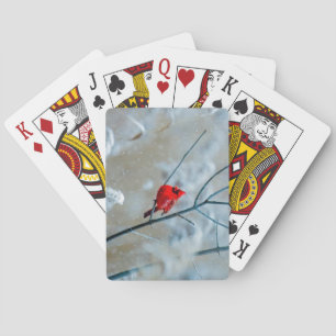 Jeu De Cartes Beau Cardinal Rouge dans la neige