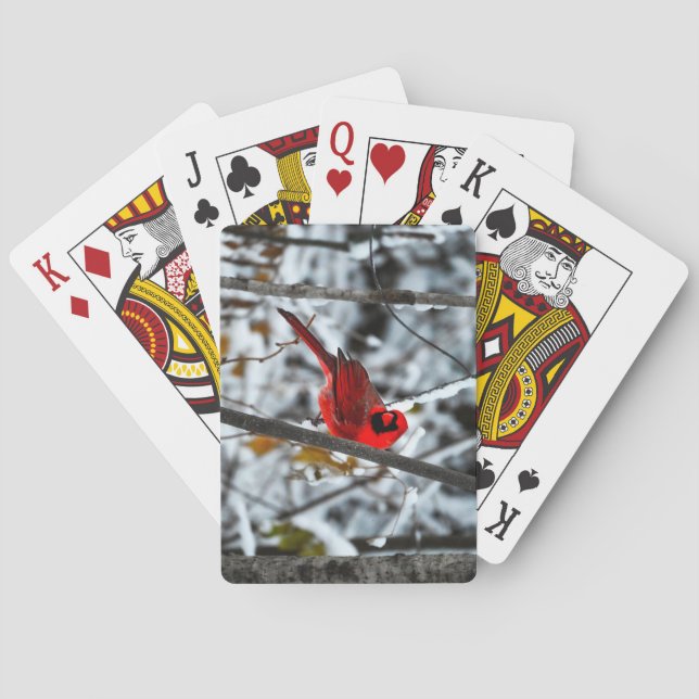 Jeu De Cartes Beau cardinal rouge vif dans la neige (dos)