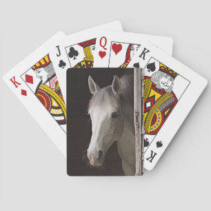 Jeu De Cartes Beau cheval et grange rustique