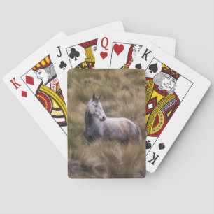 Jeu De Cartes Beau cheval gris
