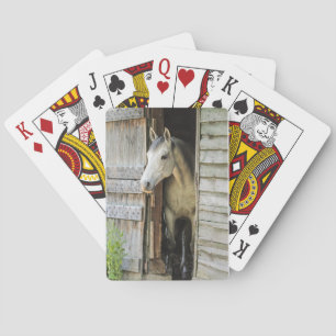 Jeu De Cartes Beau cheval Rustique ferme scène