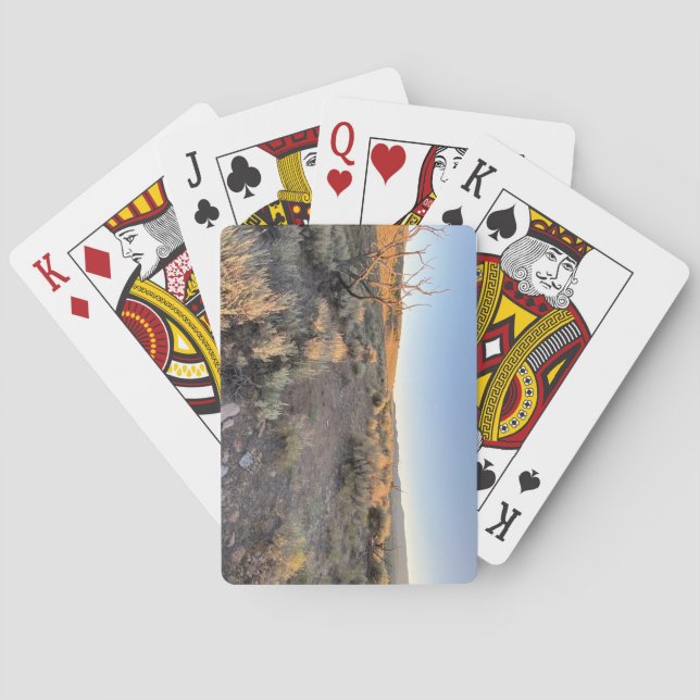 Jeu De Cartes Beau désert du Nevada (dos)