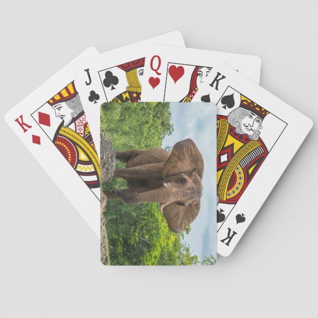 Jeu De Cartes Beau éléphant Jouer dans l'herbe (dos)
