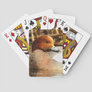 Jeu De Cartes Beau étranger en ville Eurasian Wigeon Duck