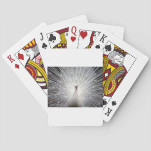 Jeu De Cartes Beau paon blanc
