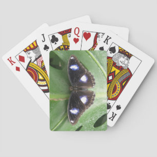 Jeu De Cartes Beau Papillon tacheté Bleu Jouer aux cartes
