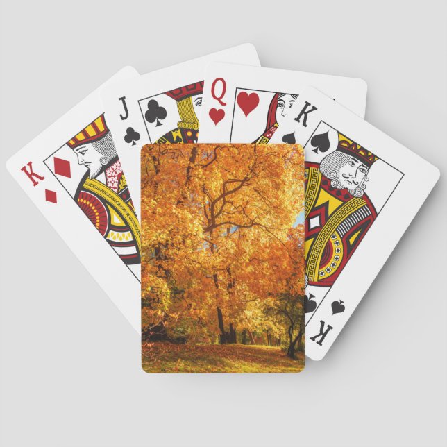 Jeu De Cartes Beau Paysage (dos)