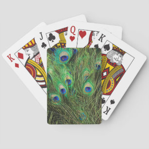 Jeu De Cartes Beau Peacock