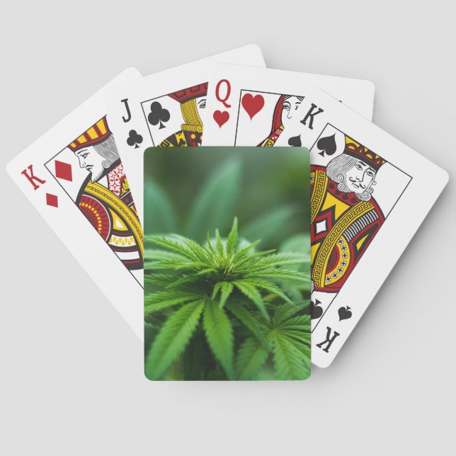 Jeu De Cartes Beau Plante de mauvaises herbes (dos)