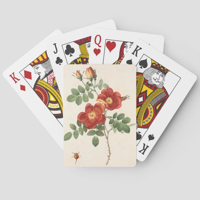 Jeu De Cartes Beau Plante Flower   (dos)