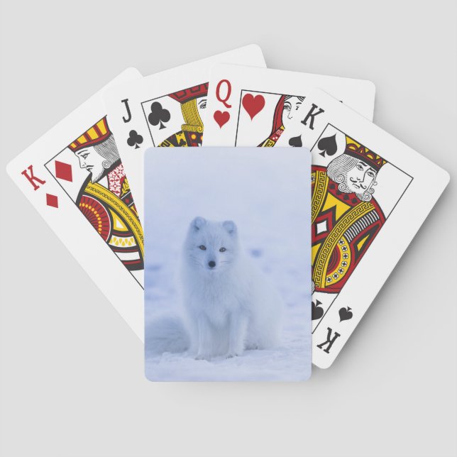 Jeu De Cartes Beau renard arctique (dos)