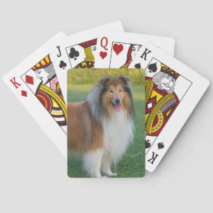 Jeu De Cartes Beau Rough Collie Dog