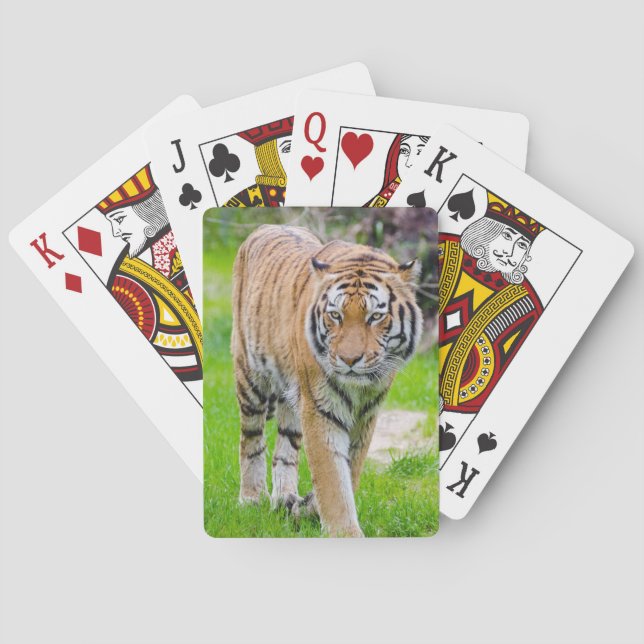 Jeu De Cartes Beau tigre (dos)