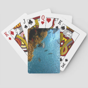 Jeu De Cartes Beauté sous-marine, poisson et corail