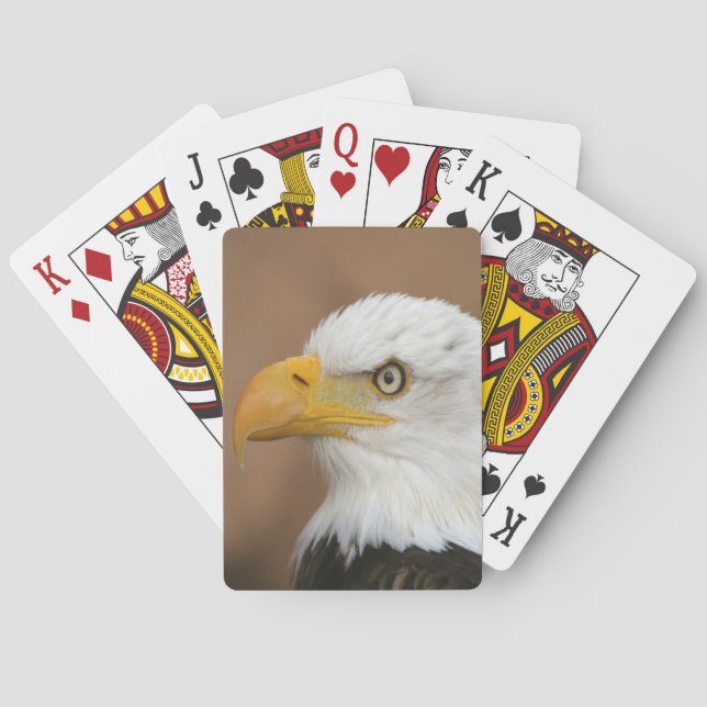 Jeu De Cartes Beautiful Bald Eagle (dos)