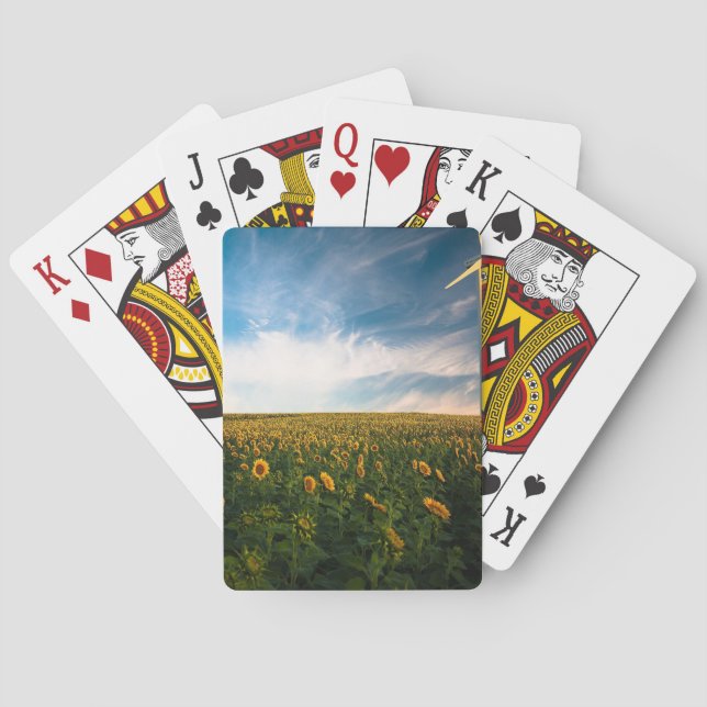 Jeu De Cartes beautiful sun flowers field with cloudy blue sky a (dos)