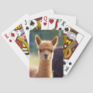 Jeu De Cartes Bébé Alpaca Vélo Jouer Cartes