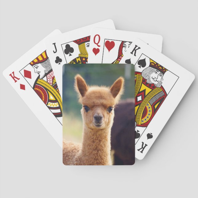Jeu De Cartes Bébé Alpaca Vélo Jouer Cartes (dos)