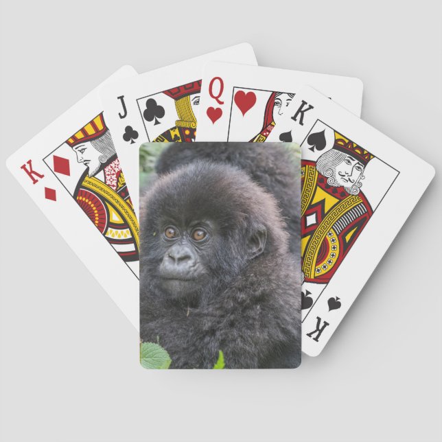 Jeu De Cartes Bébé gorille des montagnes (dos)