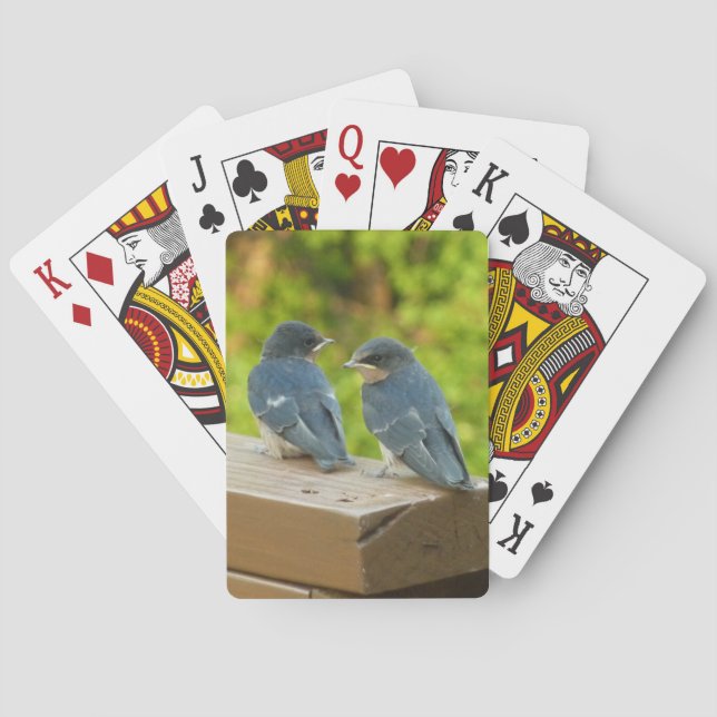 Jeu De Cartes Bébé Grange hirondelle Nature Oiseau Photographie (dos)