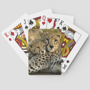 Jeu De Cartes Bébé guépard câlinant avec sa mère