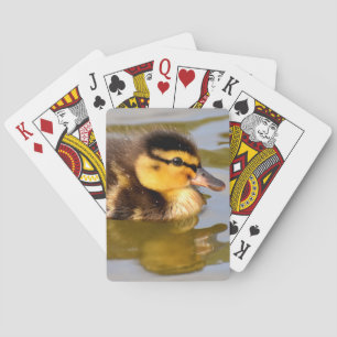 Jeu De Cartes Bébé Mallard Canard Baignade